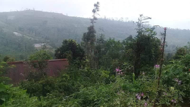 Pemandangan - Image 2