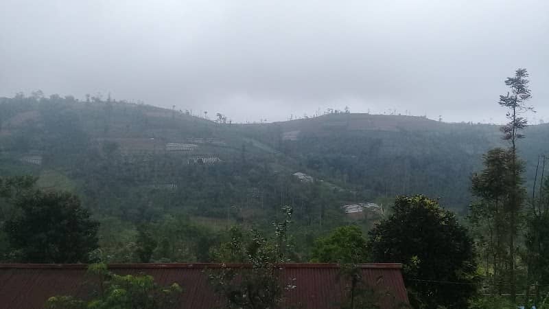 Pemandangan - Image 1