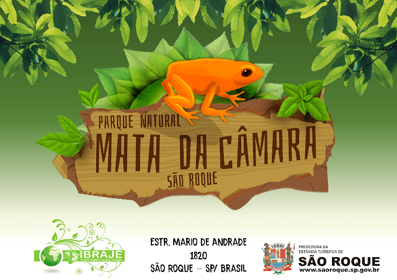 Parque Natural Municipal Mata da Câmara - Image 1
