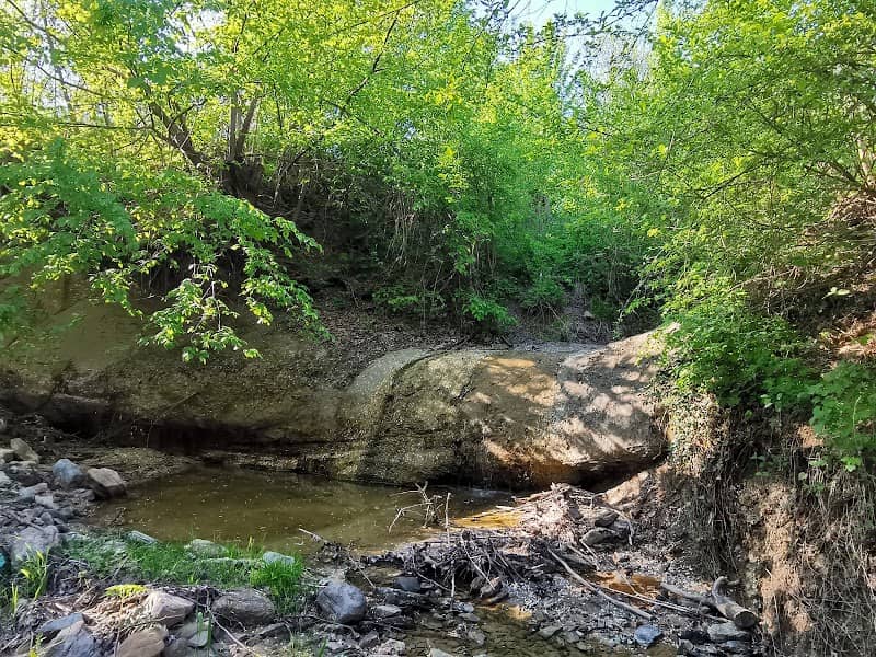 Cascada din Poiana Lungă - Image 2