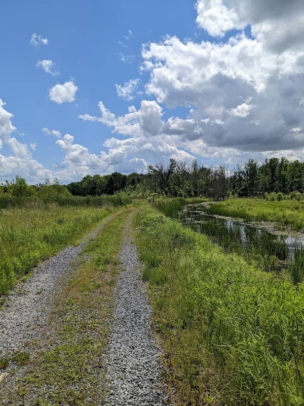 Seneca Meadows Wetlands Preserve - Image 1