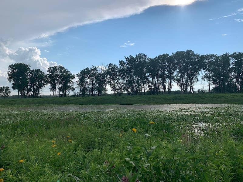 Seneca Meadows Wetlands Preserve - Image 2