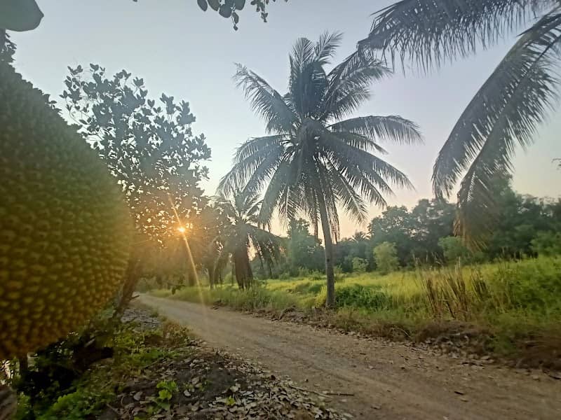 บ้านสวน - Image 1