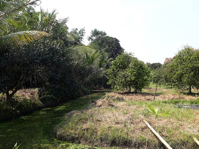 บ้านสวน - Image 2