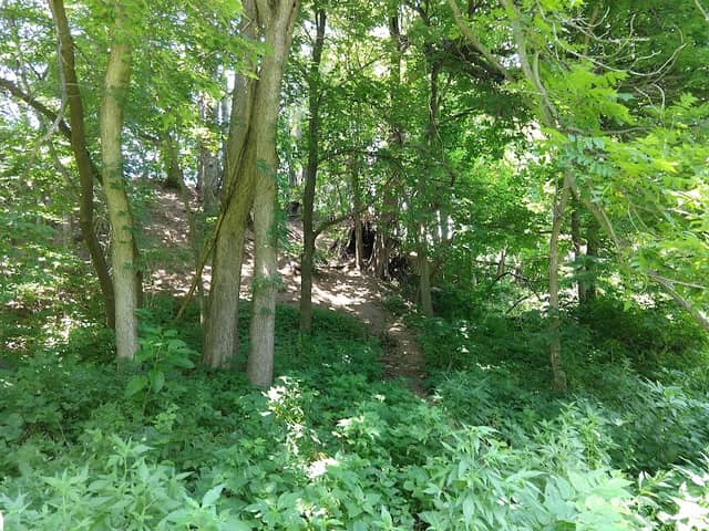 Reservoir Park - Image 3