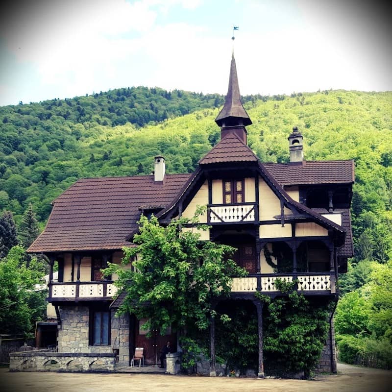 Vila Costinescu - Image 1