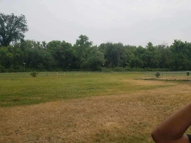 Dog Park - Image 1