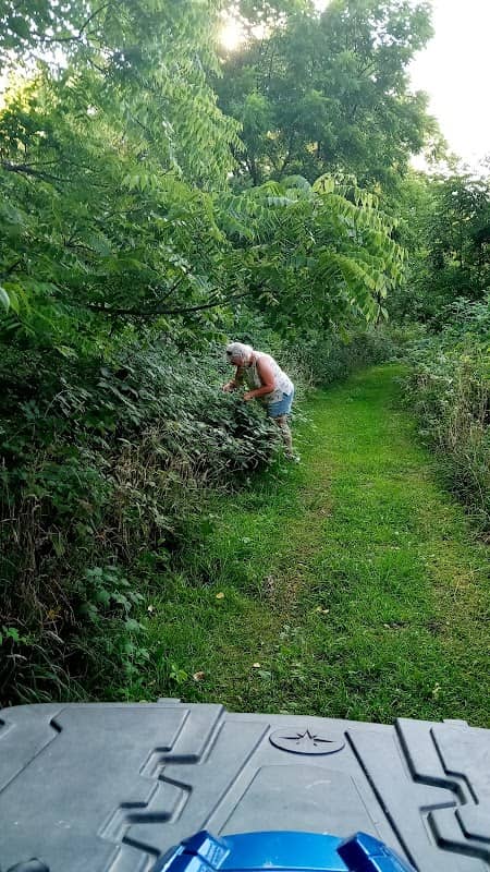 Coyote Run - Image 1