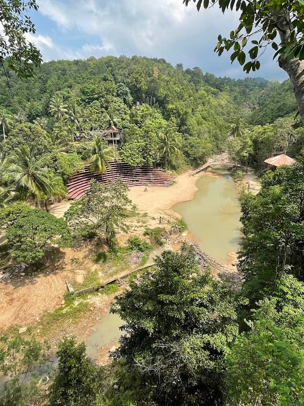 Tarzan House - Image 1