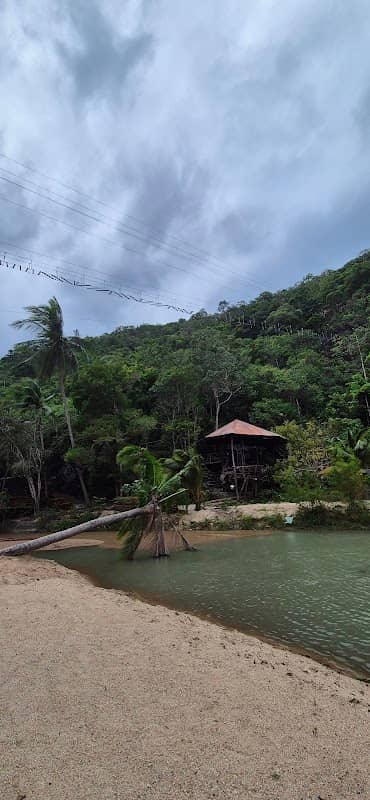 Tarzan House - Image 2
