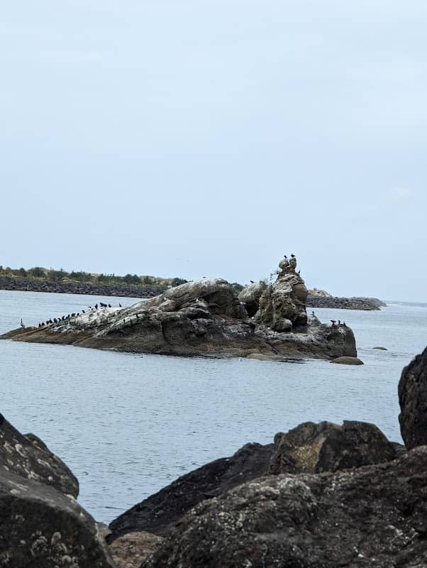 The Three Graces - Image 3