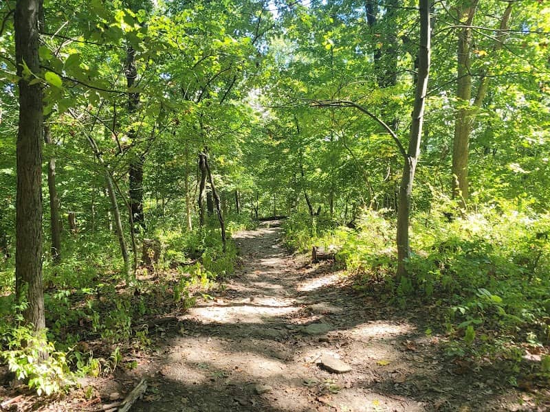 Fort Thomas Landmark Tree Trail - Image 2