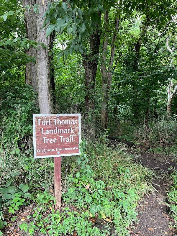 Fort Thomas Landmark Tree Trail - Image 1