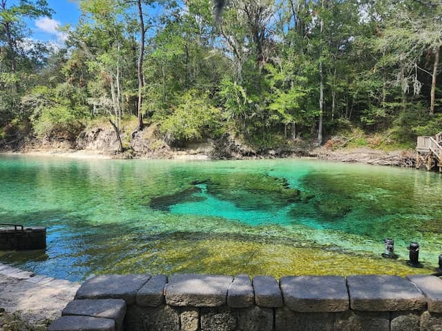 Little River Springs - Image 2