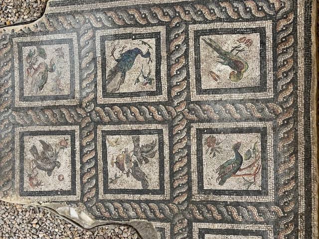 Roman Villa of the Birds - Image 2