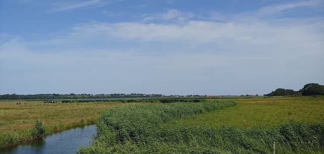 Hejlsminde Natursti - P2 - Image 1
