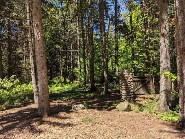 Deepwater Point Natural Area - Image 2