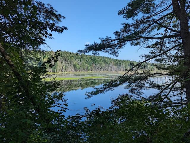 Nashua River Rail Trail Head - Image 1