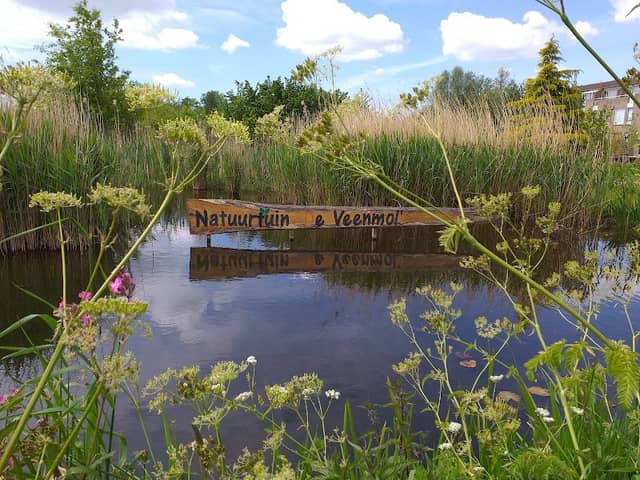 Natuurtuin 'De Veenmol' - Image 2