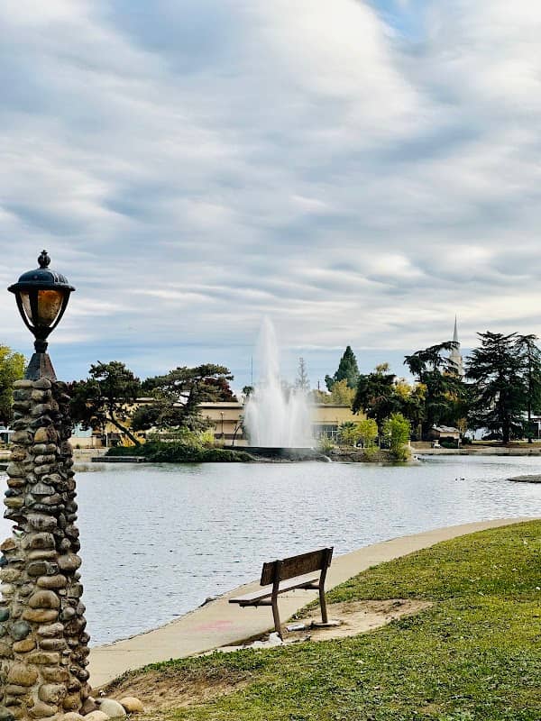 Ellis Lake - Image 2