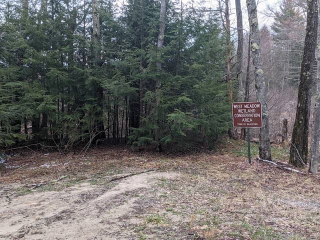West Meadow Wetland Conservation Area - Image 2