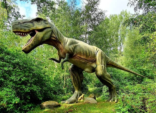 Dinosaur Land - Image 1
