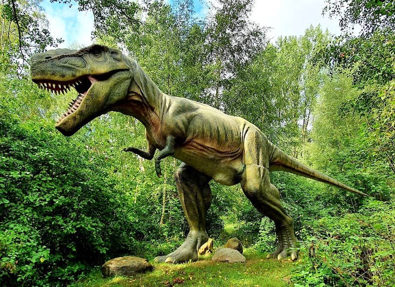 Dinosaur Land - Image 1