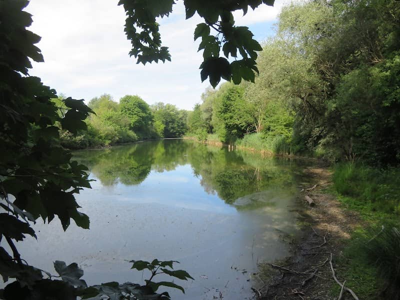 Wotzen See - Image 1
