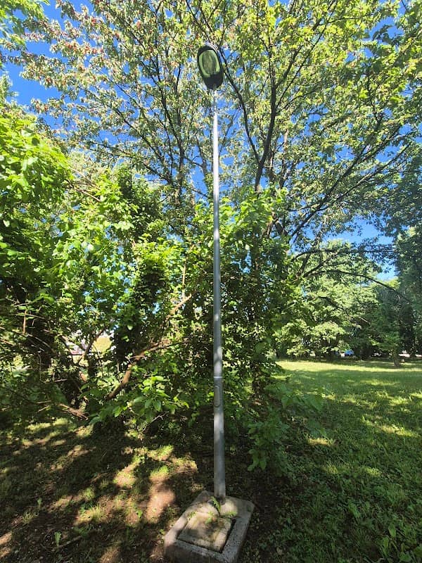 Palo delle insicurezze - Image 2