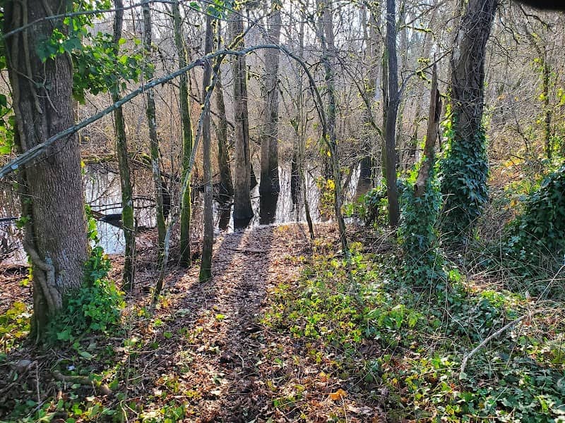 Seeley Lake Park - Image 3