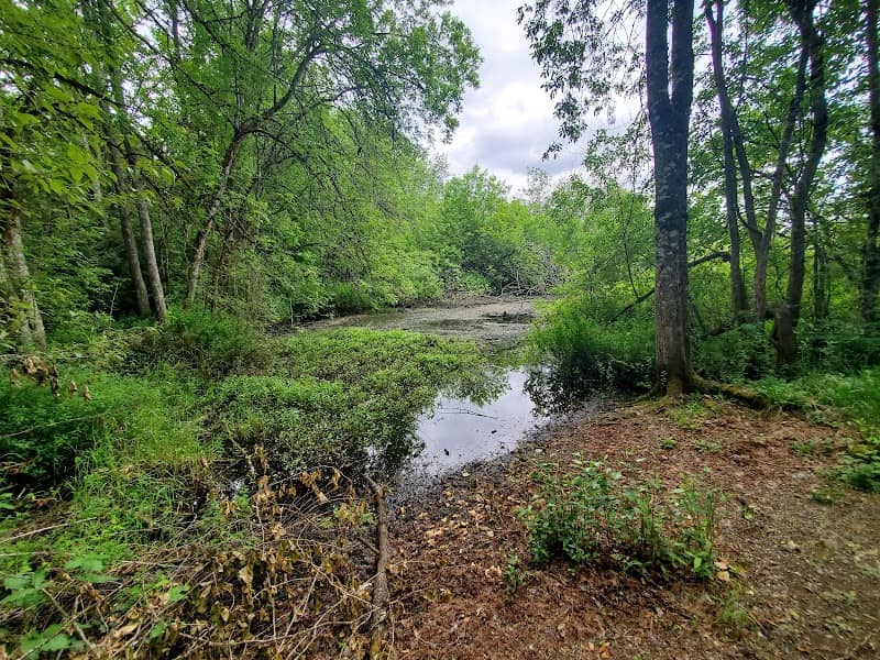 Seeley Lake Park - Image 2