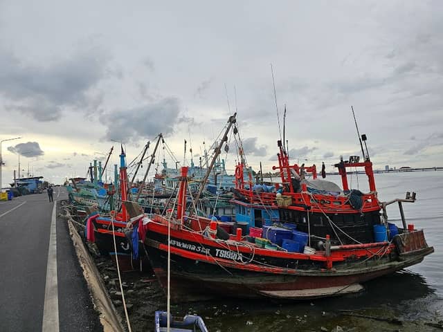 Jarin Pier - Image 1