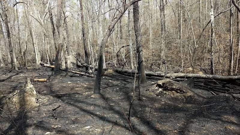 Densons Creek Nature Trail - Image 1
