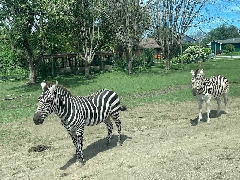 Aikman Wildlife Adventure - Image 2