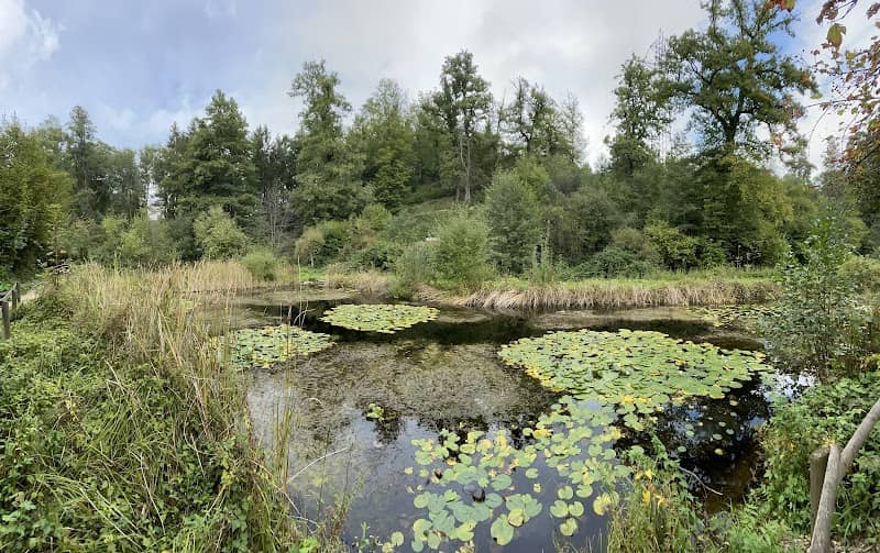 Naturschutzgebiet Herzogenmatt - Image 1