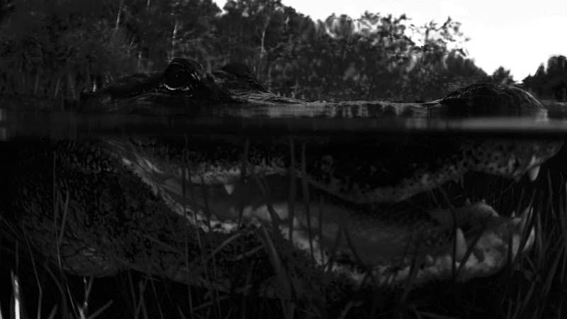 Triple M Outfitters - Image 1
