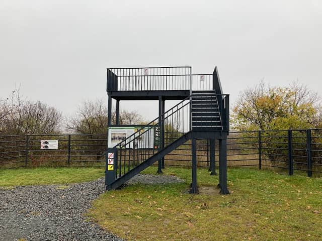 Zubr's enclosure lookout tower 1 - Image 1