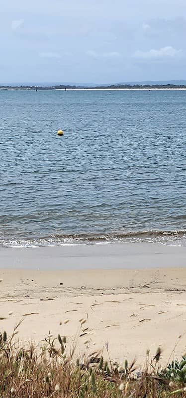 Dolphin Cove - Image 3