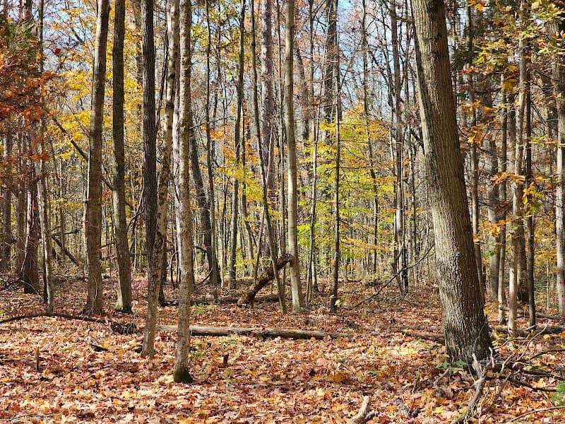 Salamonie Lake - Image 2