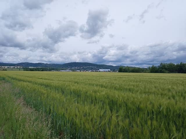 Kiesteich Oberlind - Image 1