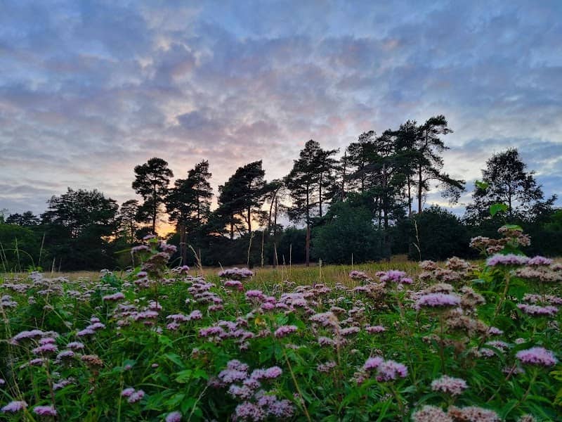 Little Ouse Path - Image 1