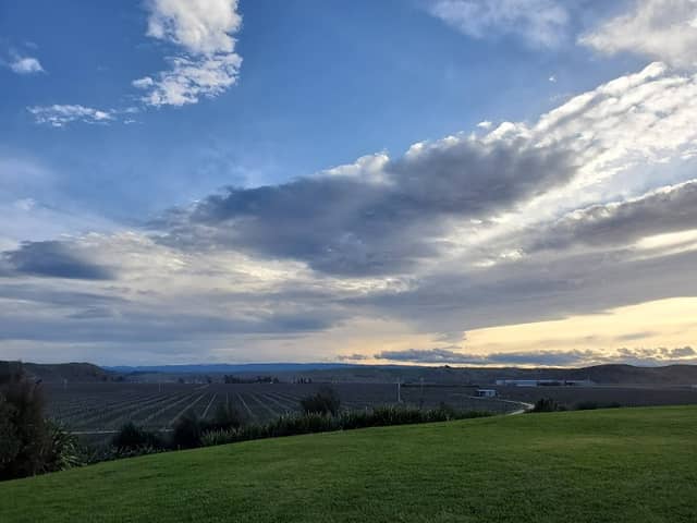 Roy's Hill Reserve - Image 1