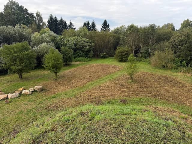 Mokřady v parku Tyršova - Image 1