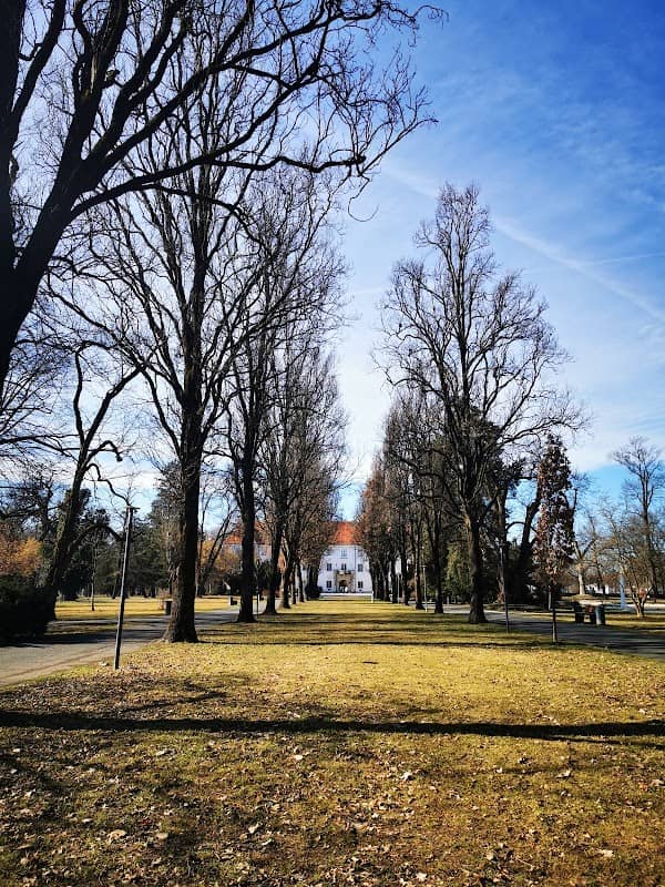 Luteranski park in drevored - Image 1