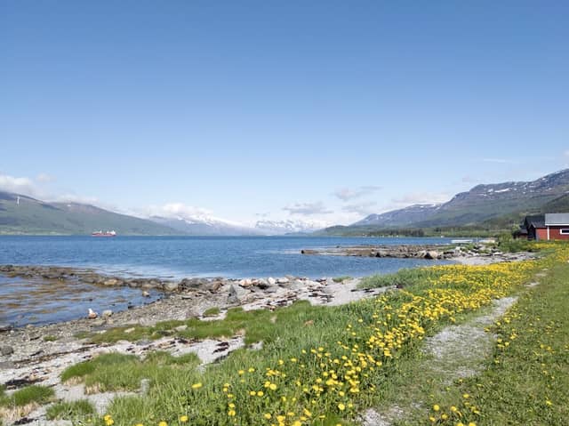Nesna - Image 1