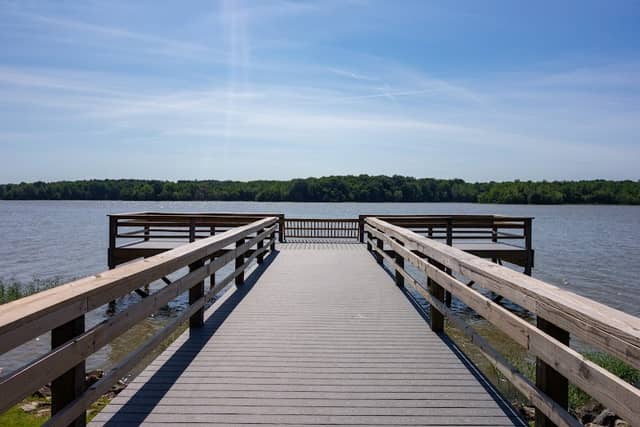 Lake Frierson State Park - Image 1