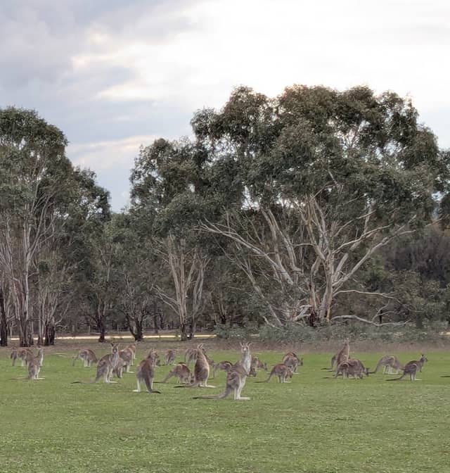 Woodlands Historic Park (Parks Victoria) - Image 1