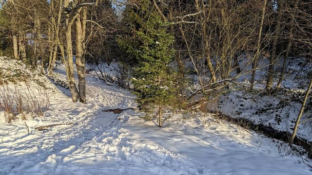 Darnell Park - Image 1