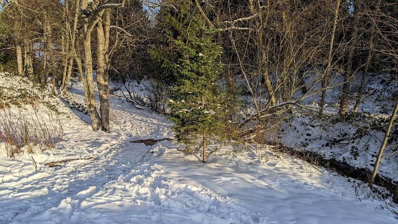 Darnell Park - Image 1