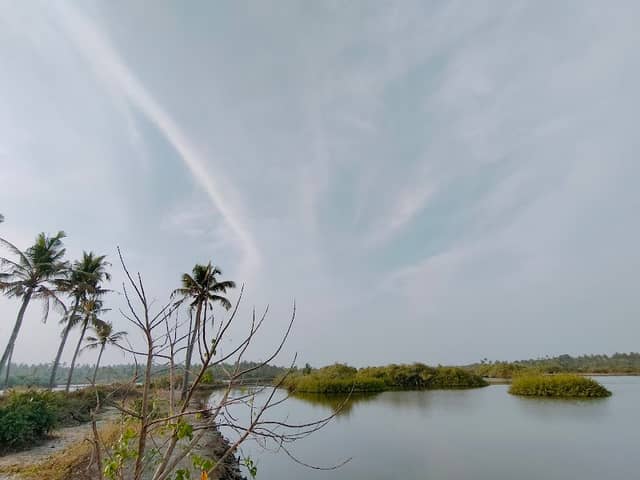 Cheepunchira - Image 1